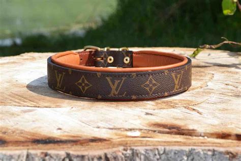 louis vuitton dog collar xsmall|luxury dog collars louis vuitton.